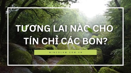Slide trang chủ tiếng Việt