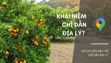 Khái niệm chỉ dẫn địa lý? Lợi ích của Bảo hộ chỉ dẫn địa lý