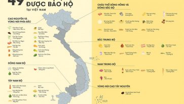 BẢO HỘ CHỈ DẪN ĐỊA LÝ