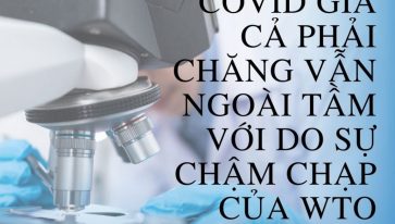 THUỐC COVID GIÁ CẢ PHẢI CHĂNG VẪN NGOÀI TẦM VỚI DO SỰ CHẬM CHẠP CỦA WTOTHUỐC COVID GIÁ CẢ PHẢI CHĂNG VẪN NGOÀI TẦM VỚI DO SỰ CHẬM CHẠP CỦA WTO