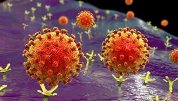 Nga: Nước sôi có thể ngay lập tức tiêu diệt virus SARS-CoV-2