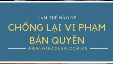 Làm thế nào để chống lại vi phạm bản quyền trong thời đại kỹ thuật số? Các chuyên gia trên thế giới trao đổi kinh nghiệm về bảo vệ bản quyền