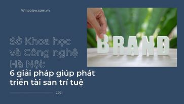 Sở Khoa học và Công nghệ Hà Nội: 6 giải pháp giúp phát triển tài sản trí tuệ