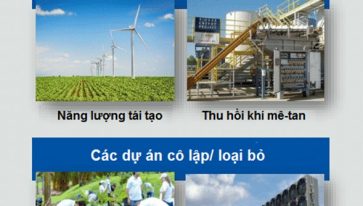 Hướng dẫn cơ bản để hiểu về Tín chỉ cacbon