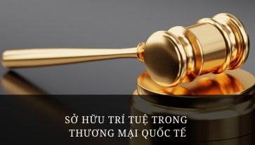 Chủ đề vai trò của Sở hữu trí tuệ trong thương mại quốc tế. Khái quát chung về thương mại quốc tế (phần 1)